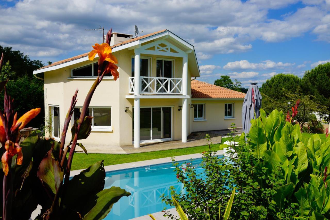 Villa Alba. Piscine Grand Jardin Hauts De Bordeaux Carignan-de-Bordeaux Exterior photo