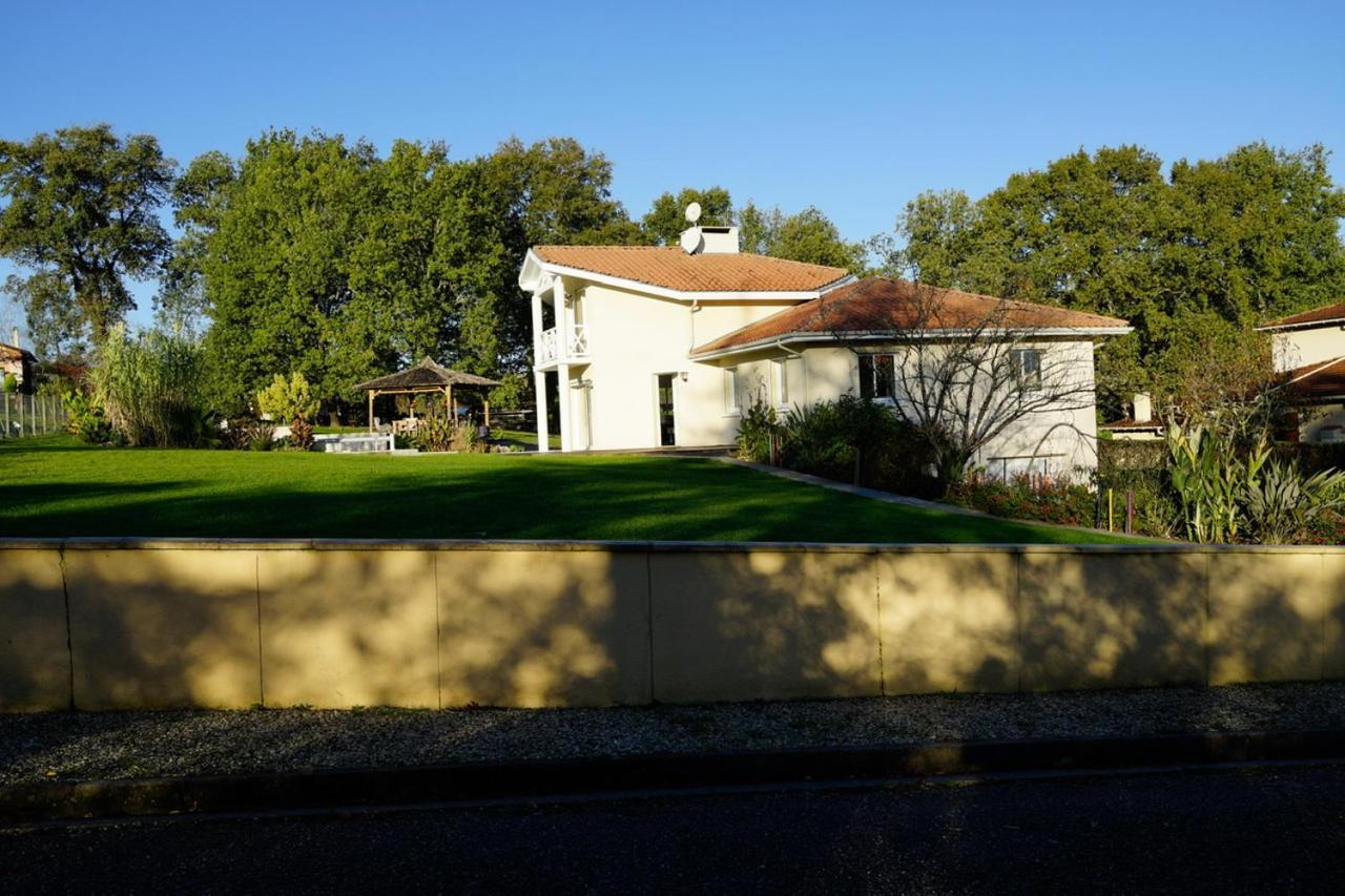 Villa Alba. Piscine Grand Jardin Hauts De Bordeaux Carignan-de-Bordeaux Exterior photo